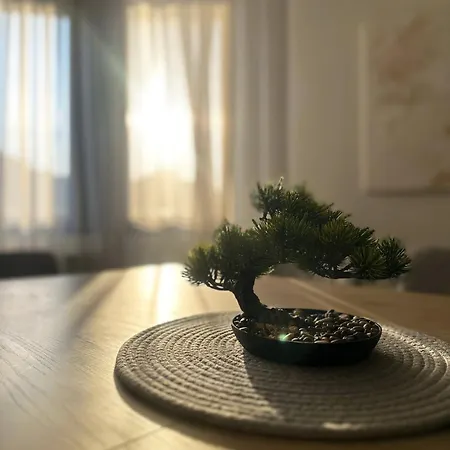 Апартаменти La Penthouse By Sienna *